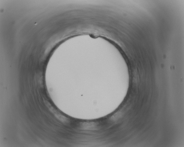 X0000076071499200610152214