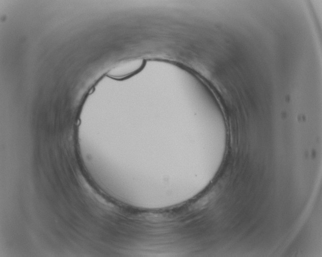 X0000076071500200610152214