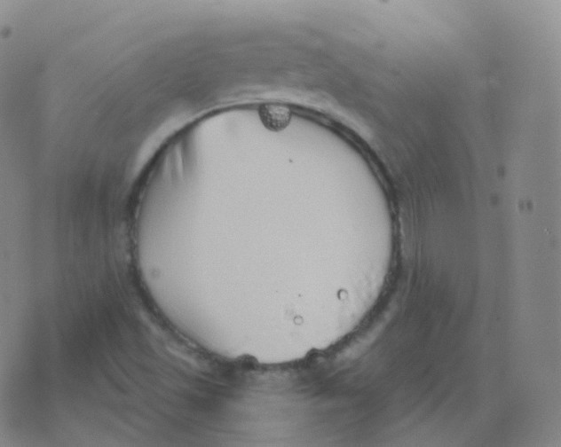 X0000076071501200610152214