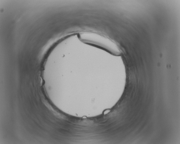 X0000076071503200610152214