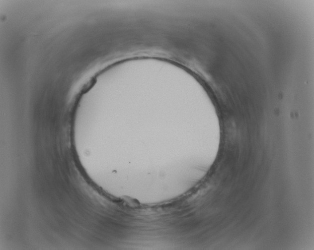 X0000076071504200610152214