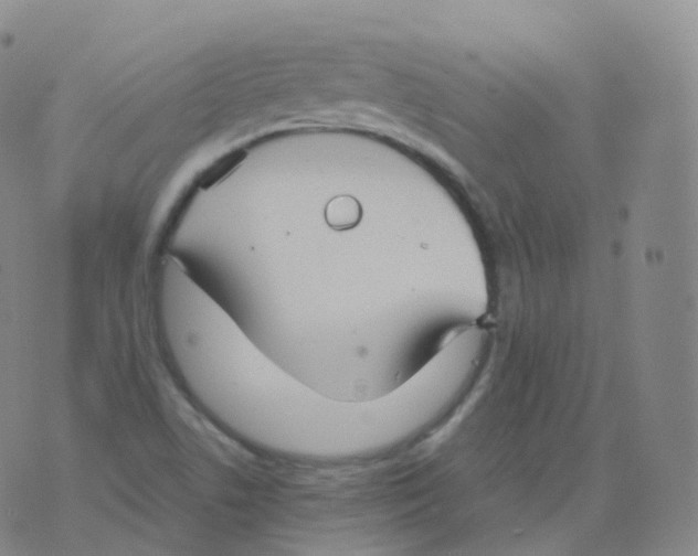 X0000076071506200610152214