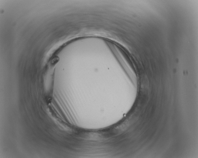 X0000076071507200610152214