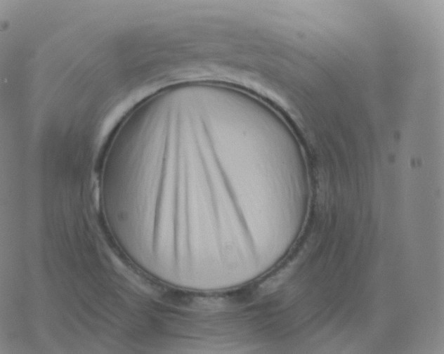 X0000076071509200610152214