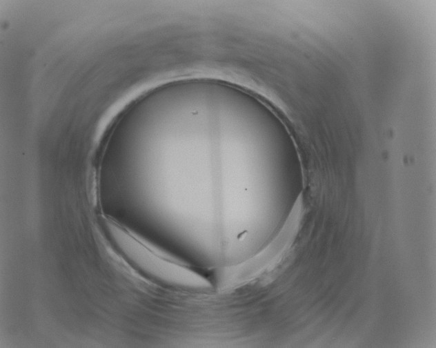 X0000076071510200610152214