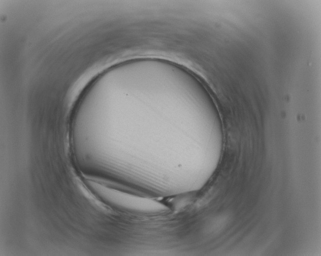 X0000076071511200610152214