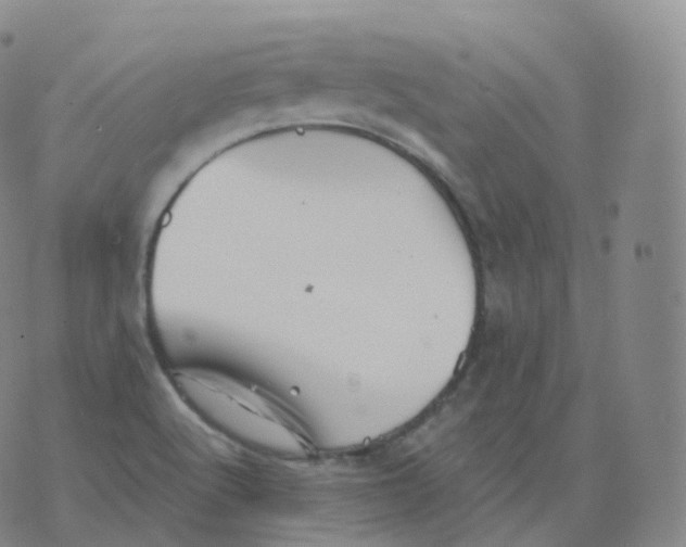 X0000076071512200610152214