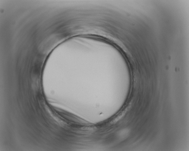 X0000076071513200610152214