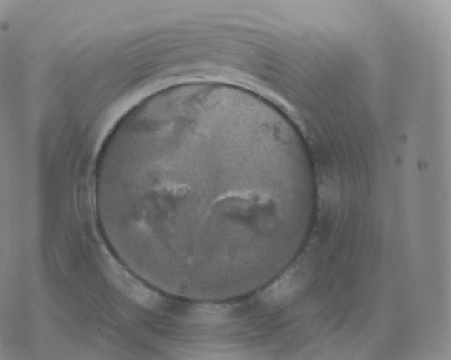 X0000076071514200610152214