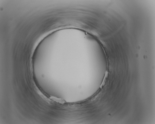 X0000076071516200610152214