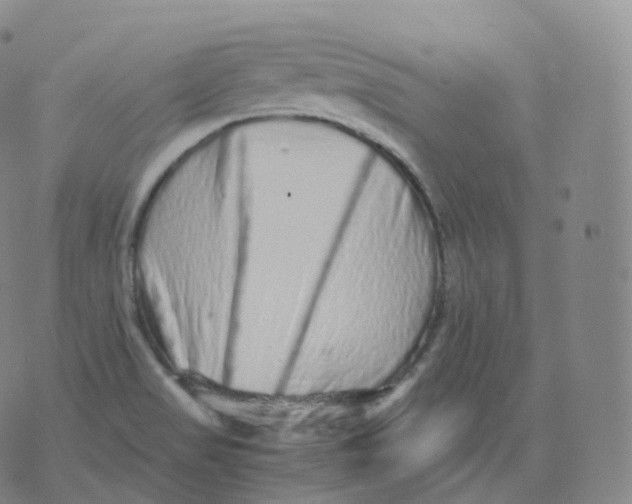 X0000076071517200610152215