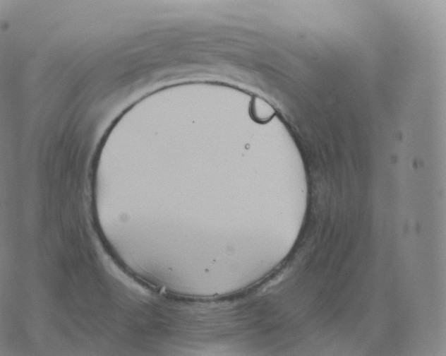 X0000076071518200610152215