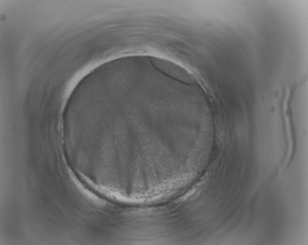 X0000076071519200610152215