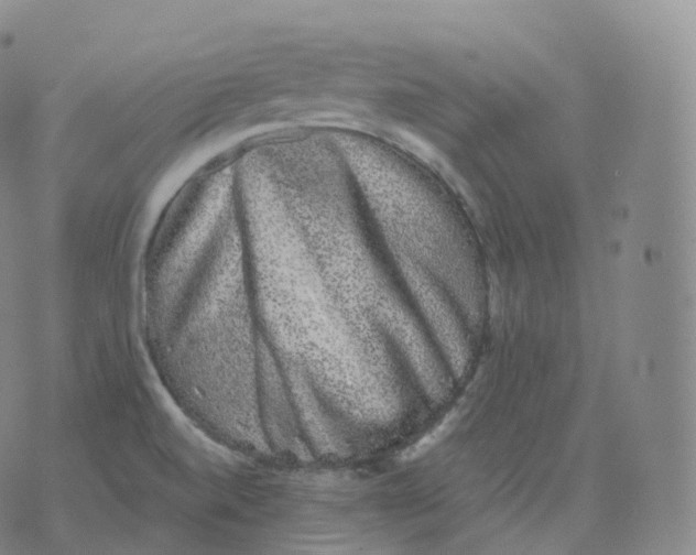 X0000076071520200610152215