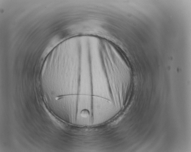 X0000076071521200610152215