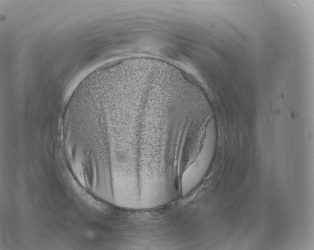 X0000076071524200610152215