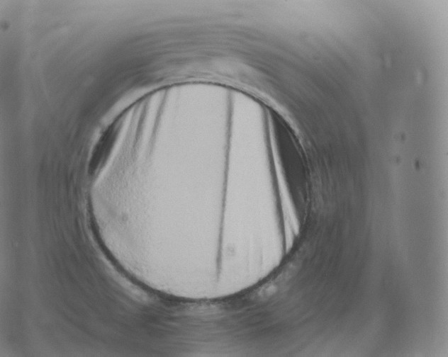 X0000076071525200610152215