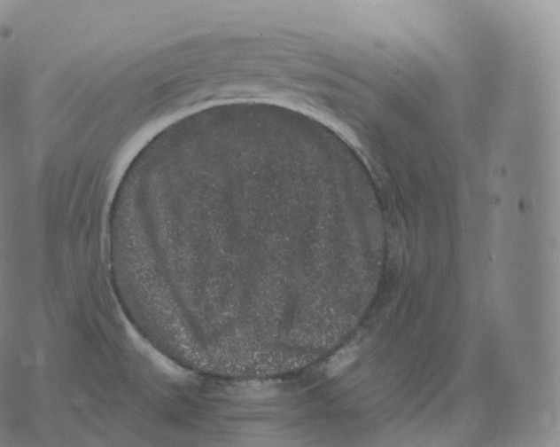 X0000076071527200610152215