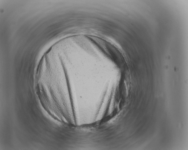 X0000076071528200610152215