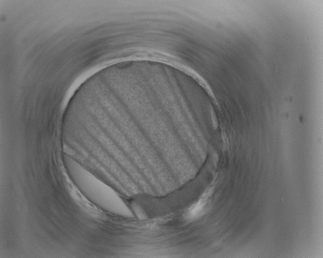 X0000076071530200610152215