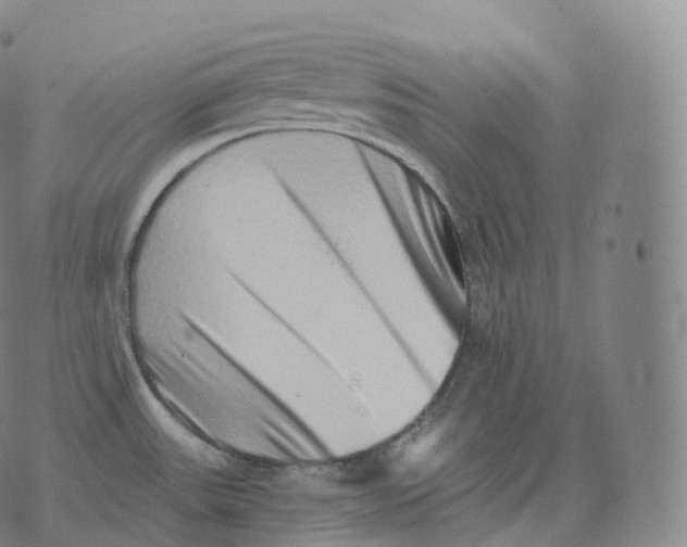 X0000076071531200610152215