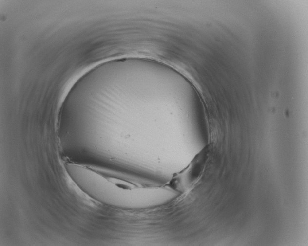 X0000076071532200610152215