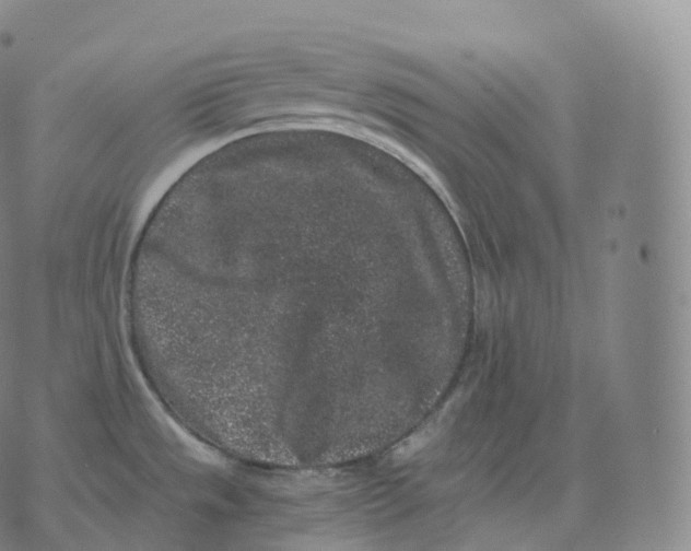 X0000076071533200610152215