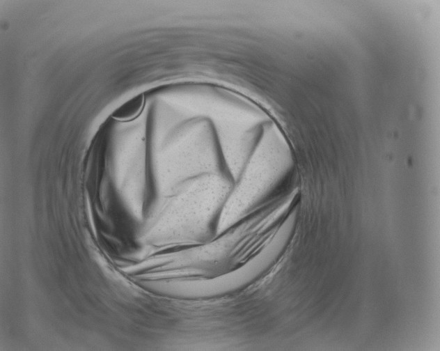 X0000076071534200610152215