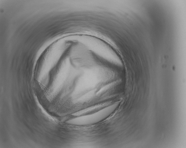 X0000076071536200610152215