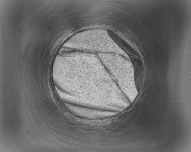 X0000076070001200610202026