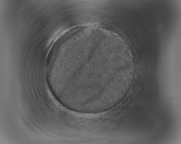 X0000076070002200610202026