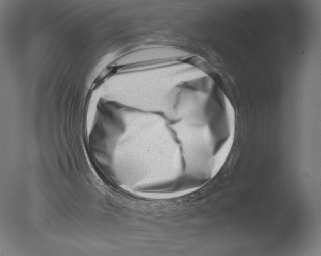 X0000076070003200610202026