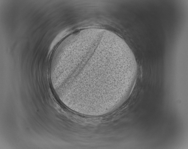 X0000076070004200610202026