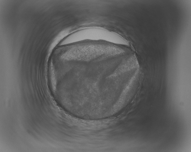 X0000076070006200610202026