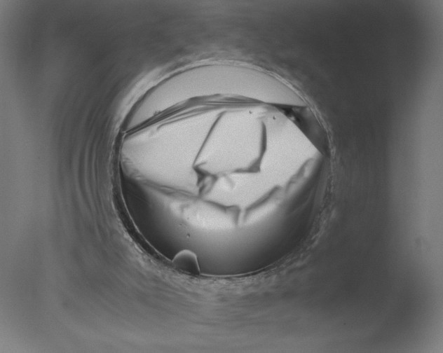 X0000076070007200610202026