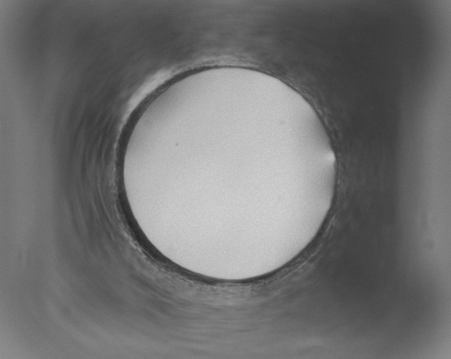 X0000076070008200610202026