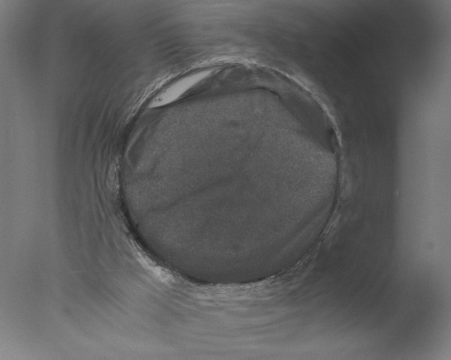 X0000076070009200610202026