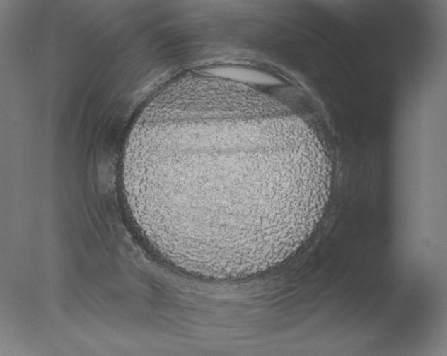 X0000076070010200610202026