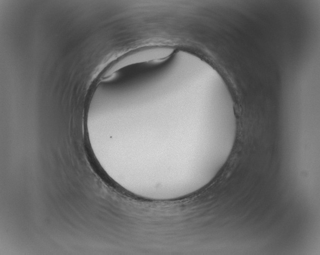 X0000076070011200610202026