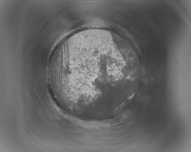 X0000076070012200610202026