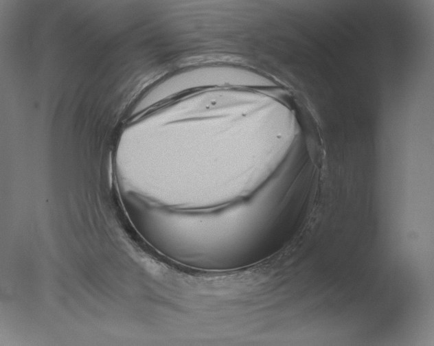 X0000076070013200610202026