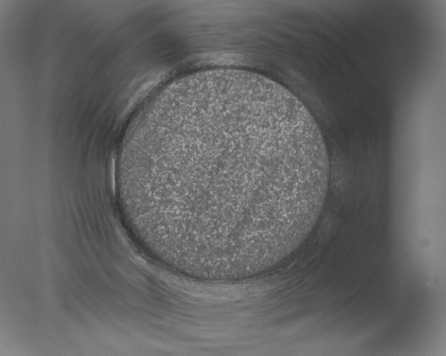 X0000076070014200610202026