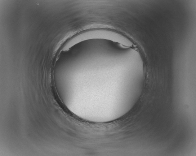 X0000076070015200610202026