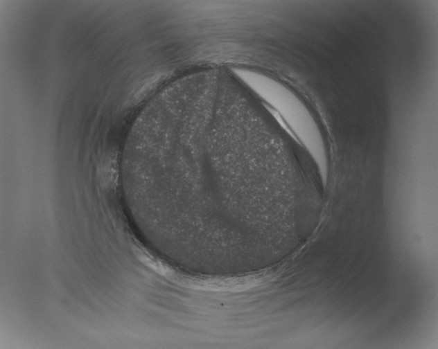 X0000076070017200610202026