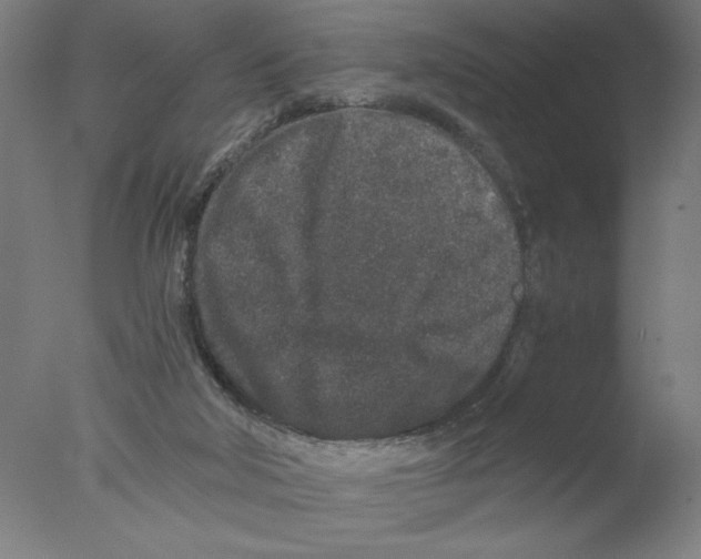 X0000076070018200610202026