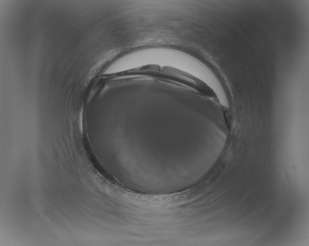 X0000076070019200610202026