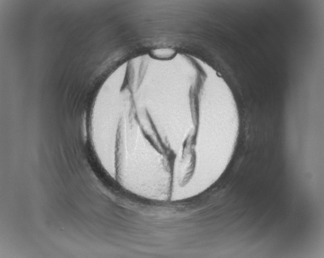 X0000076070020200610202026