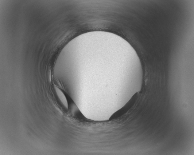 X0000076070021200610202026