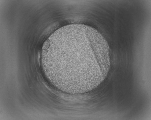 X0000076070022200610202026