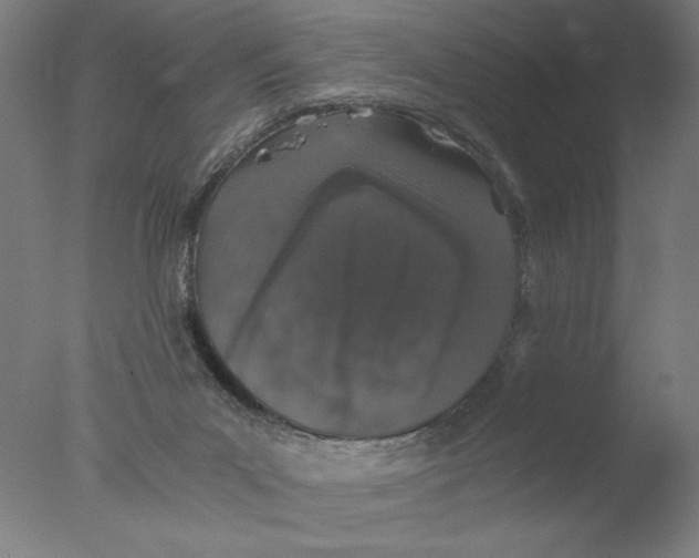 X0000076070023200610202026